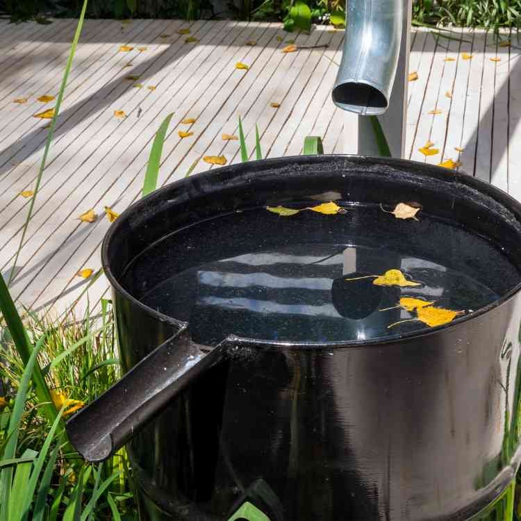 How to Improve Water Quality in Your Home Without Using Chemicals_rainwater harvesting_the geiler company