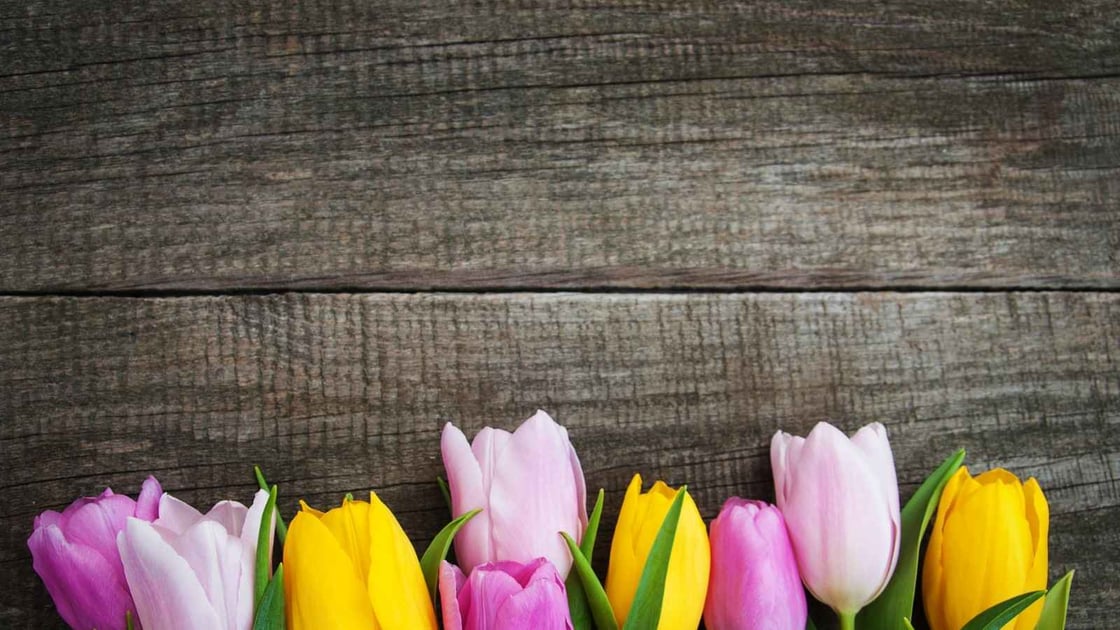 Should I Turn Off My Heat or Just Set It Lower During Spring?-When Should I turn on My AC?_ The Geiler Company