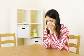 Indoor Air Quality The Geiler Company