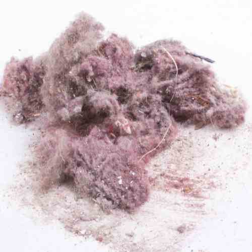 The Benefits of Good Indoor Air Quality_Indoor Pollution_The Geiler Company