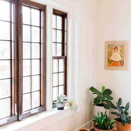 The Surprising Link Between Indoor Air Quality and Sleep Quality_indoor plants_the geiler company