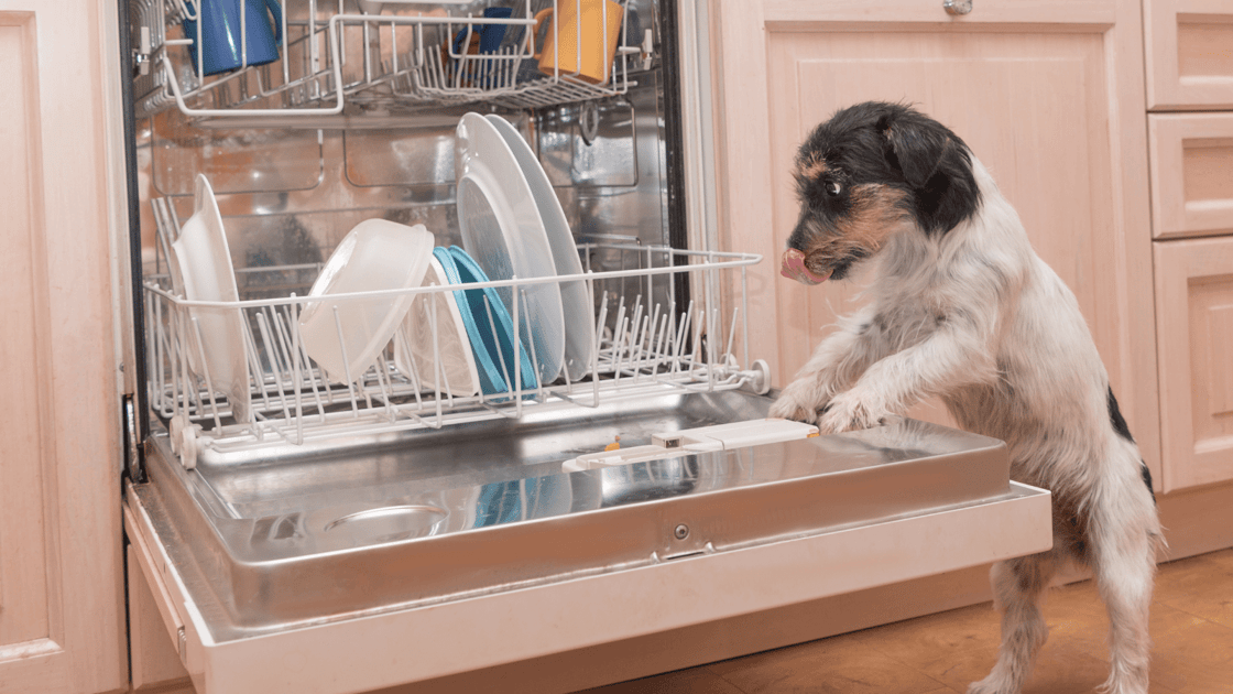 Your Dishwasher is Not a Garbage Disposal
