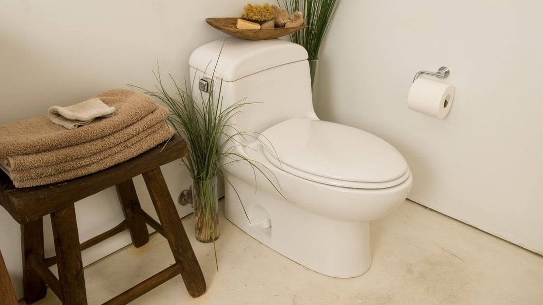 five reasons your toilet makes a hissing sound_the geiler company