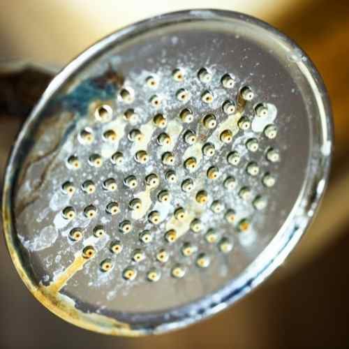 how do i know if my shower head needs replacec_ scale buildup_ the geiler company