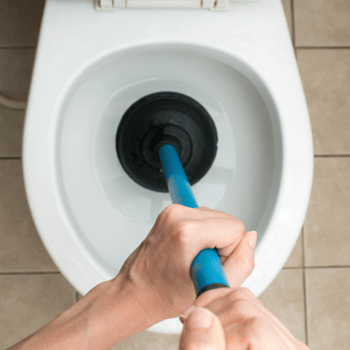 how to fix a clogged toilet