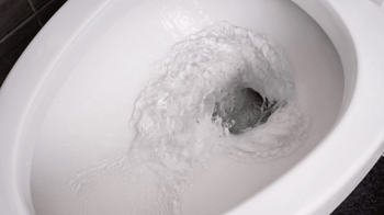 how to fix a clogged toilet