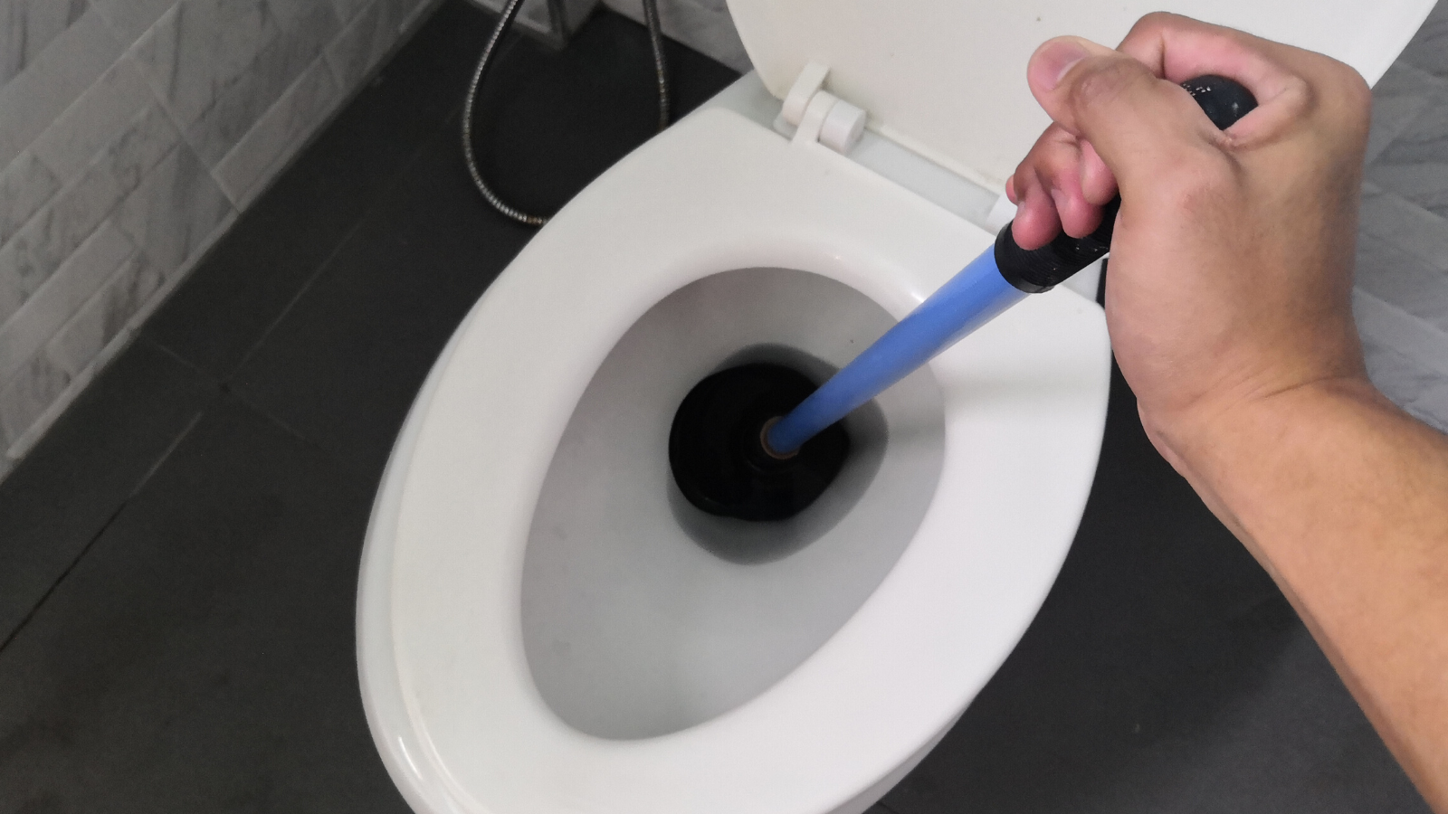 plunger in toilet_ the geiler company