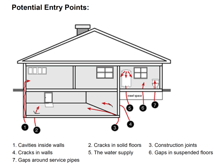 radon entry points _ The Geiler Company