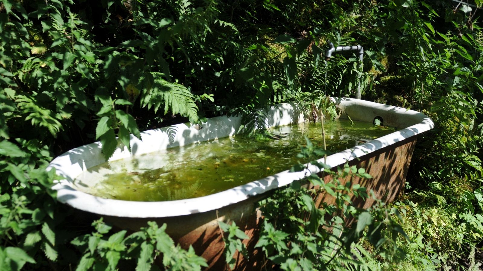 Best DIY for Cleaning Your Bathtub_The Geiler Company