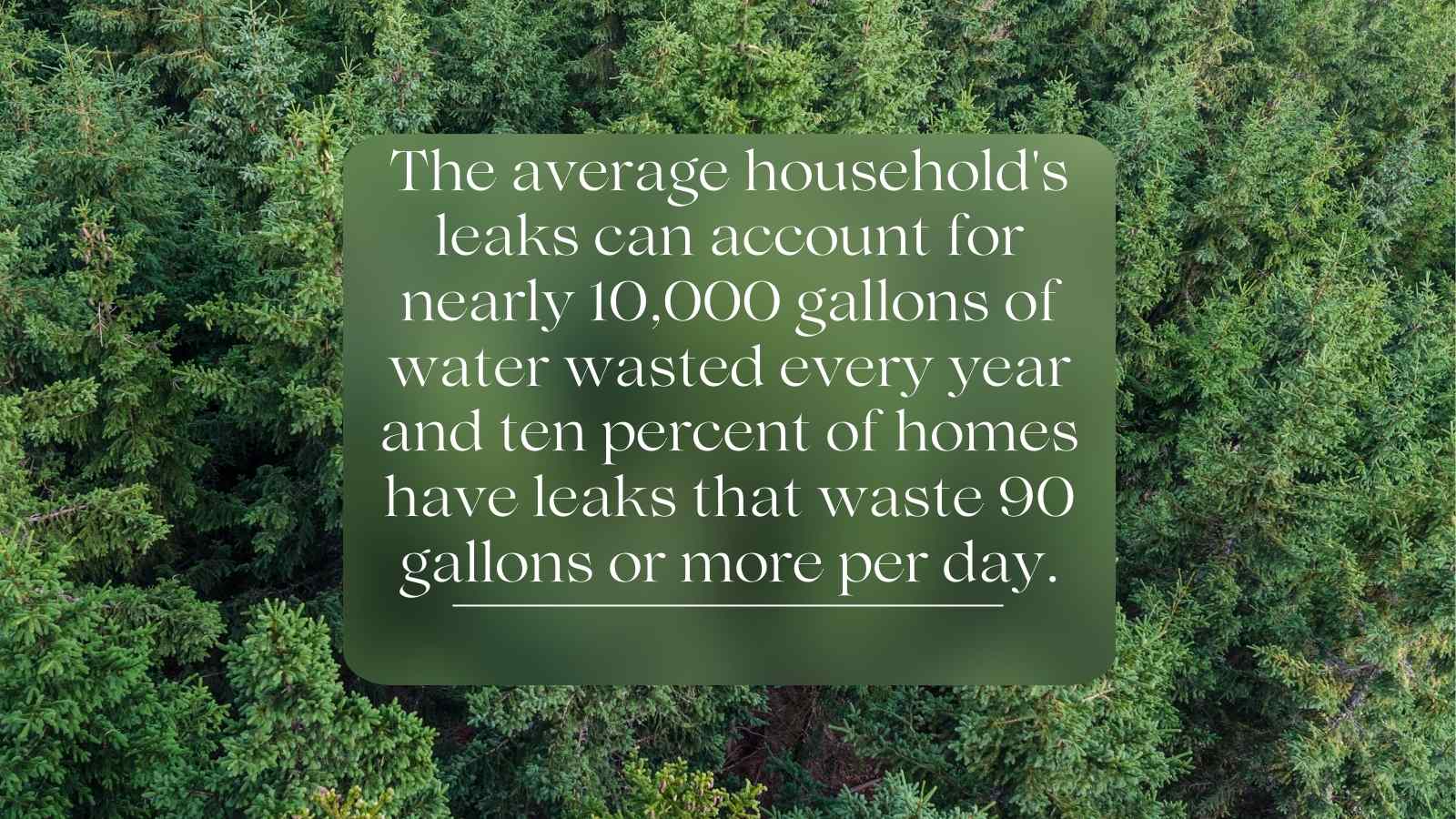 The Hidden Costs of a Leaking Kitchen Faucet: Prompt Repair Pays Off_The Geiler Company