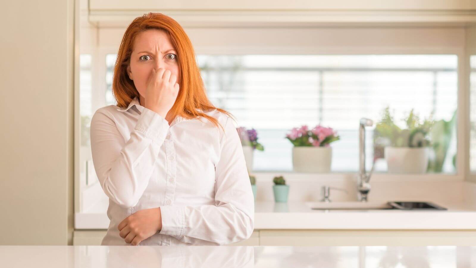 What Causes A Rotten Egg Smell In My Water_The Geiler Company