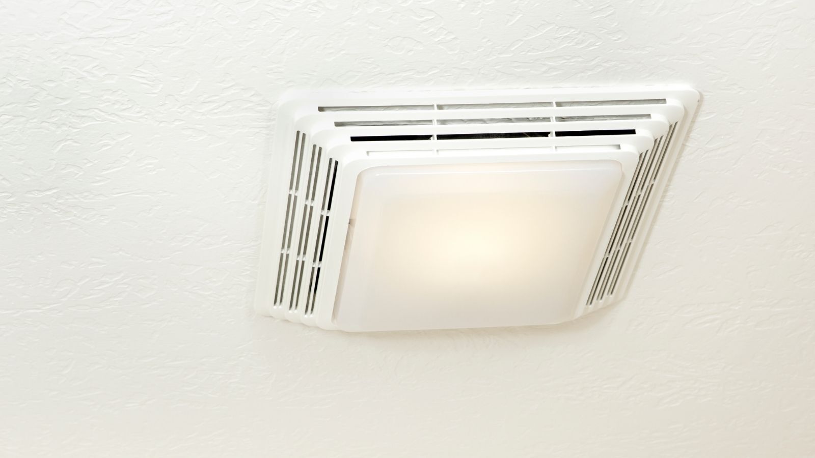 Why Does My Bathroom Smell Musty? Causes, Fixes & When to Call a Pro